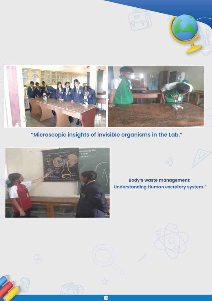 newsletter-june2024-2025-3-page-17